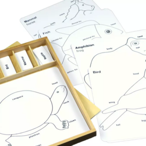 Moyo Montessori Moyo Montessori Sada aktivit k zoologickým puzzle (popisky v ANJ)