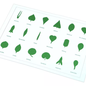 Moyo Montessori Moyo Montessori Tvary listů (karta)