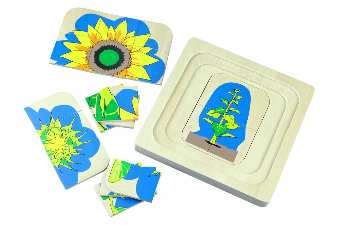 Moyo Montessori Moyo Montessori Životní cyklus květiny