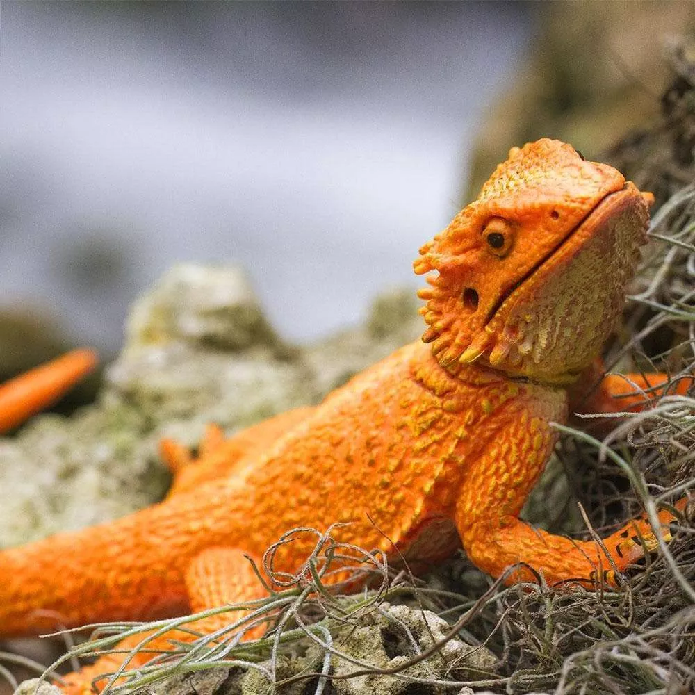 Safari Ltd. Safari Ltd. Figurka - Agama vousatá - Obrázek 2