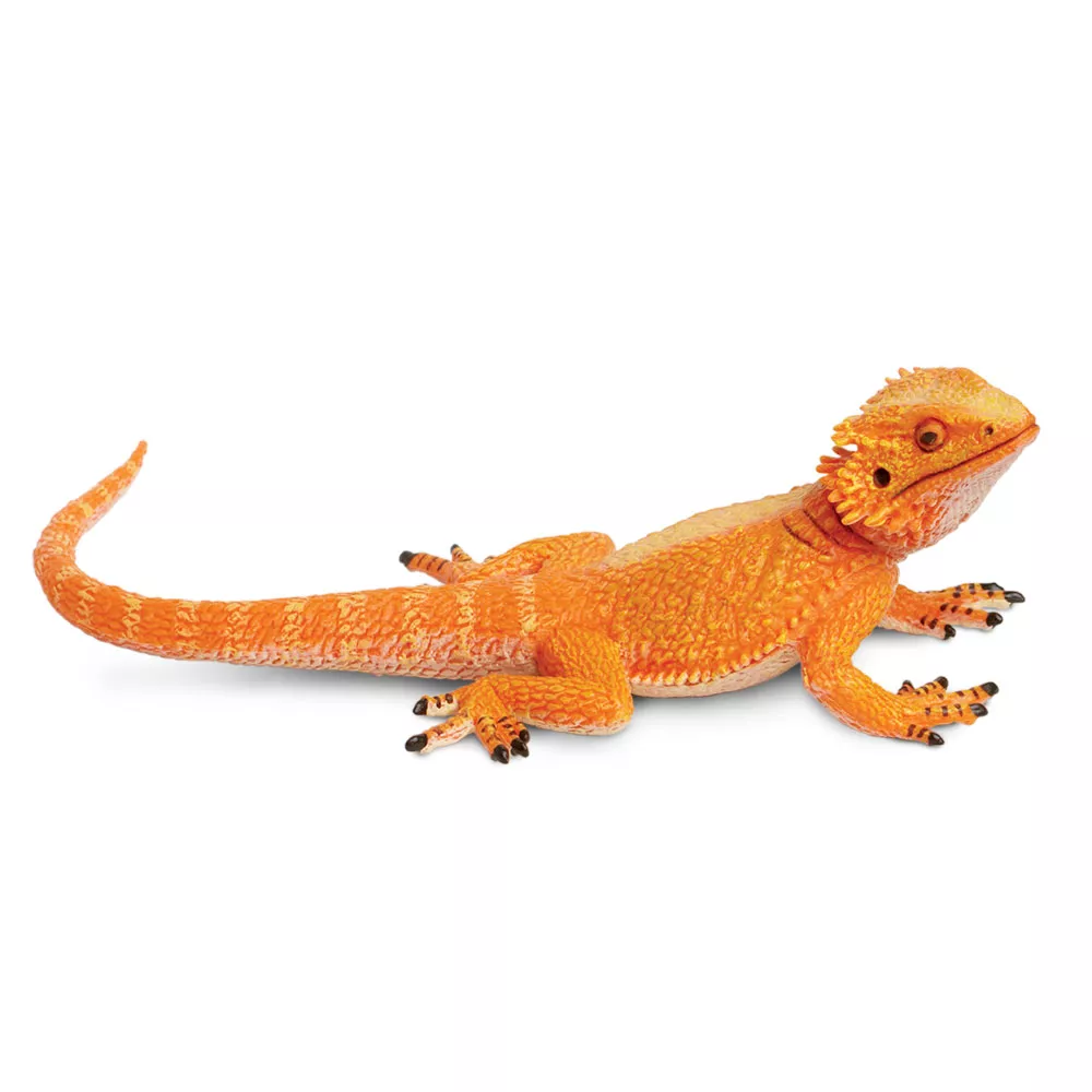 Safari Ltd. Safari Ltd. Figurka - Agama vousatá