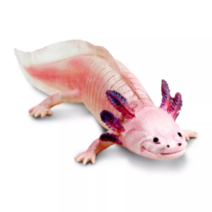 Safari Ltd. Safari Ltd. Figurka - Axolotl