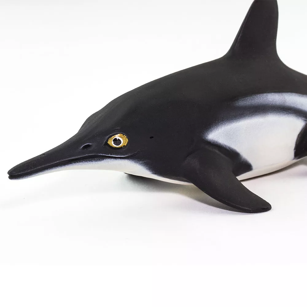 Safari Ltd. Safari Ltd. Figurka - Ichthyosaurus - Obrázek 2