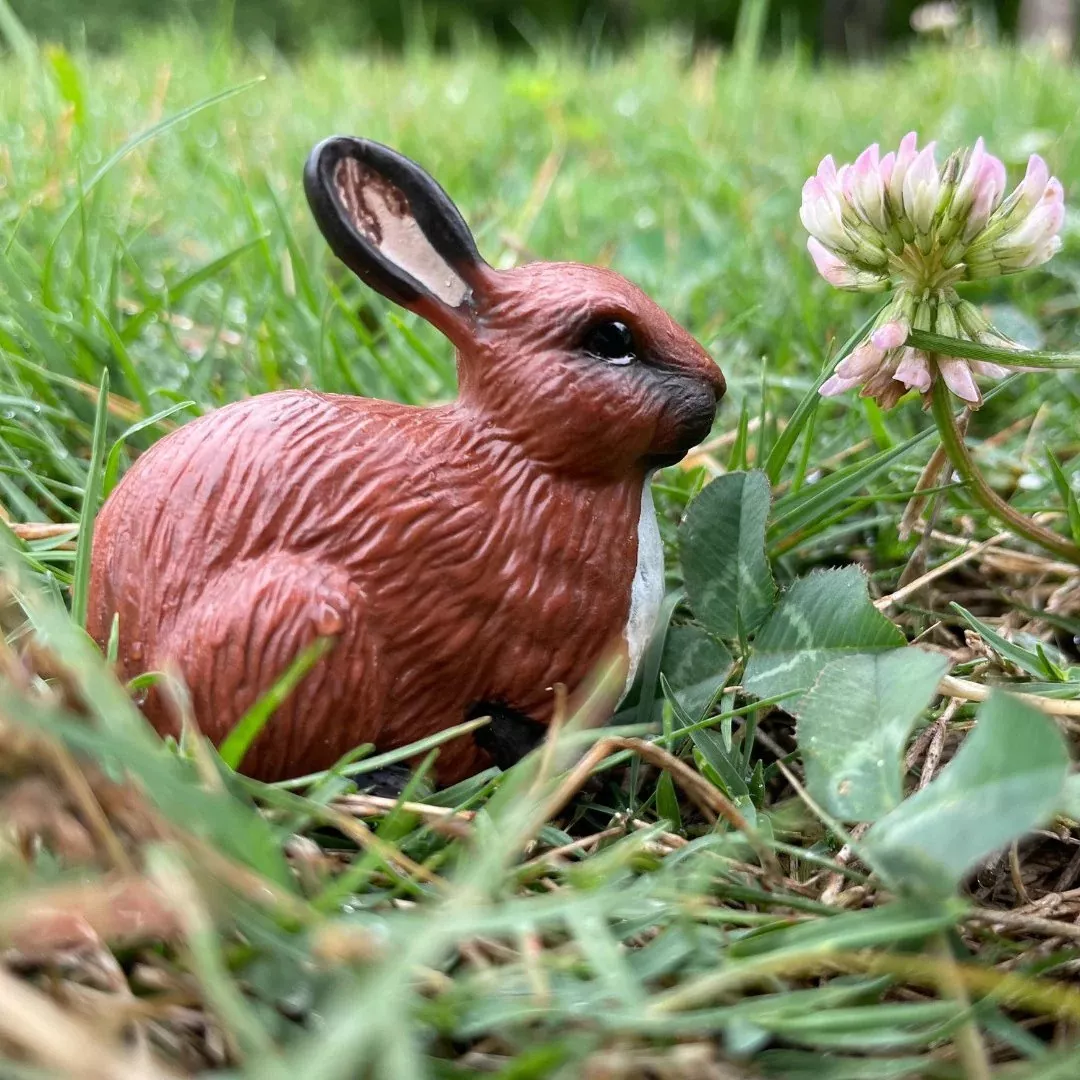 Safari Ltd. Safari Ltd. Figurka - Králík - Obrázek 2