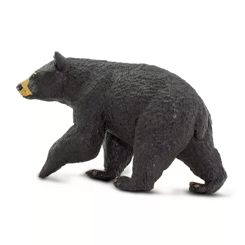 Safari Ltd. Safari Ltd. Figurka - Medvěd baribal - Obrázek 2