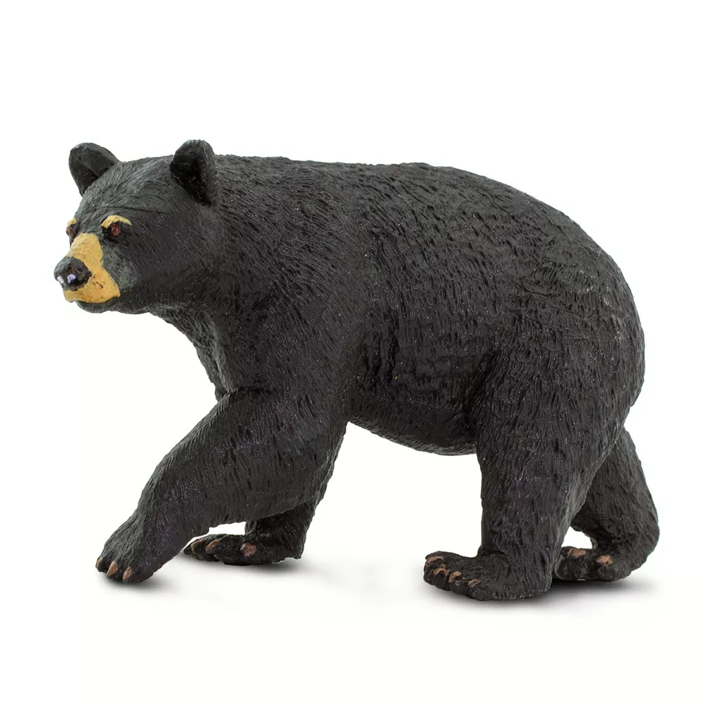Safari Ltd. Safari Ltd. Figurka - Medvěd baribal