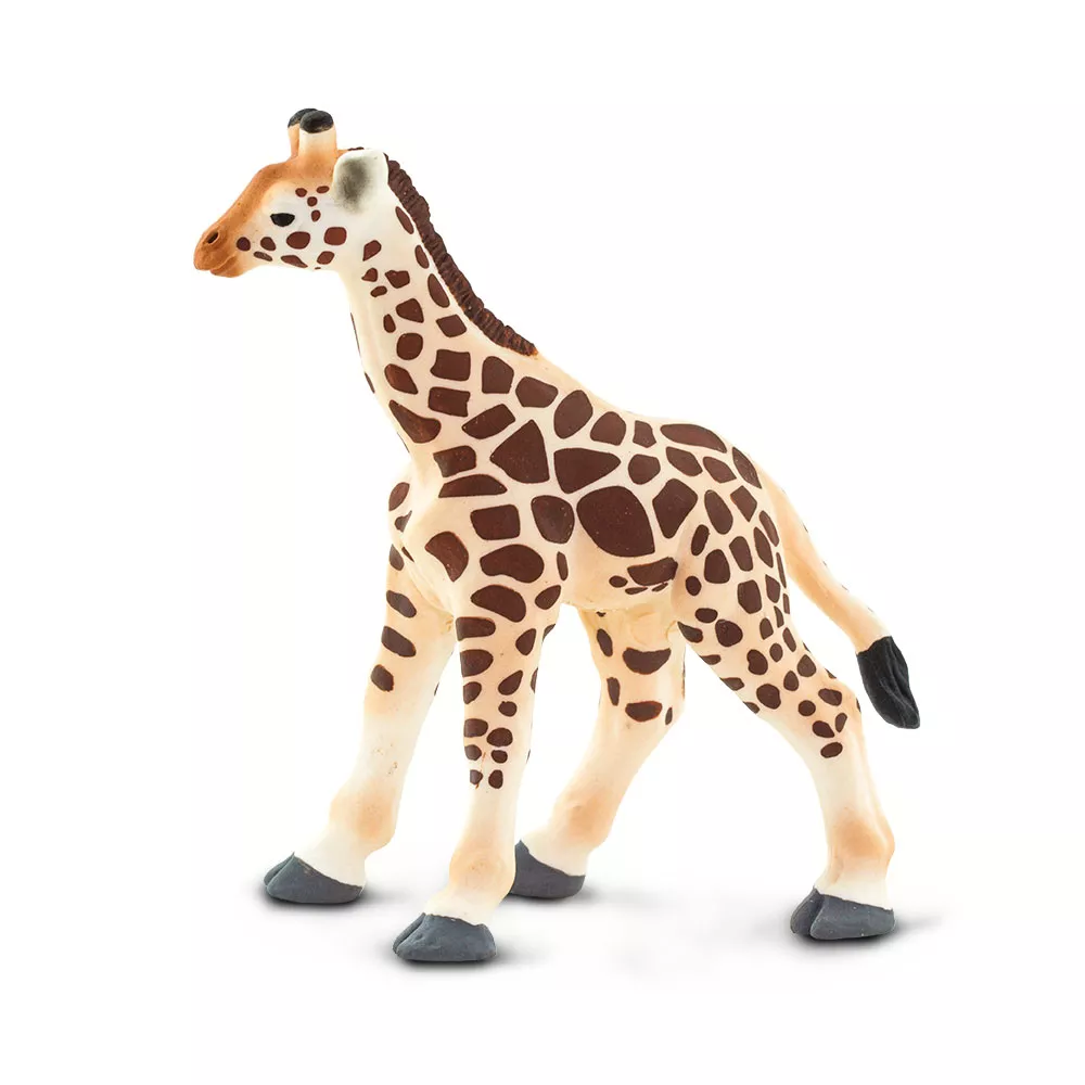 Safari Ltd. Safari Ltd. Figurka - Mládě žirafy