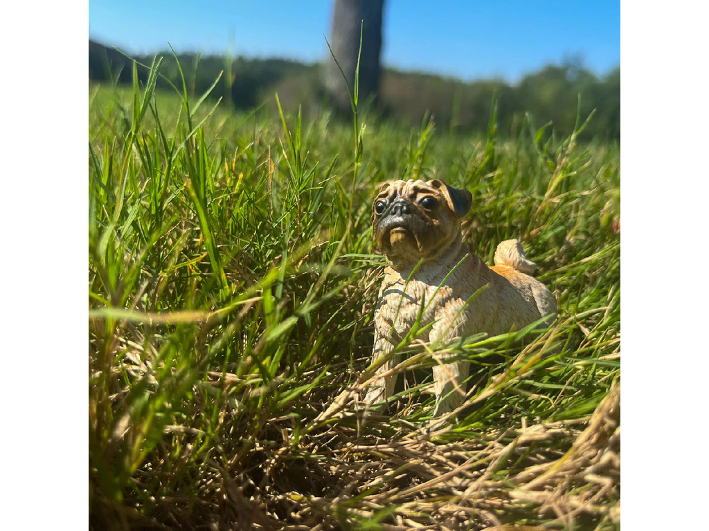 Safari Ltd. Safari Ltd. Figurka - Mops - Obrázek 2