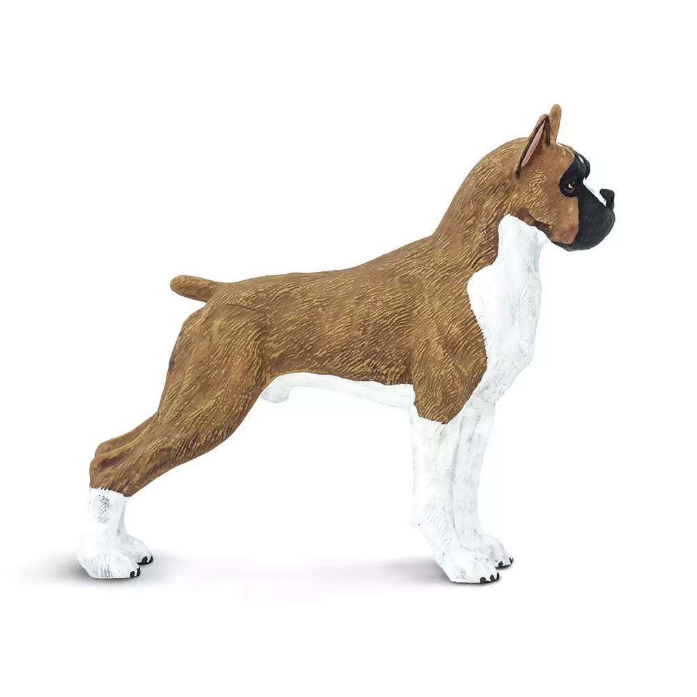 Safari Ltd. Safari Ltd. Figurka - Německý boxer - Obrázek 2