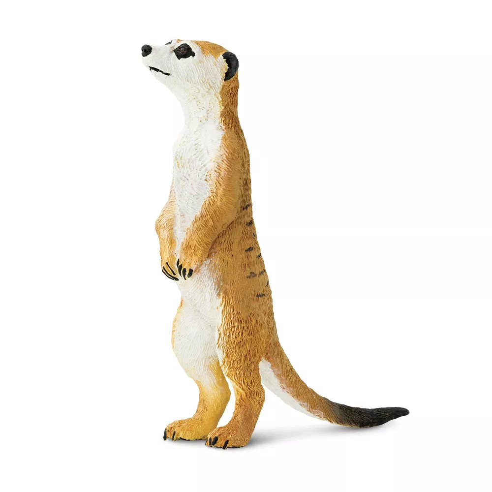 Safari Ltd. Safari Ltd. Figurka - Surikata