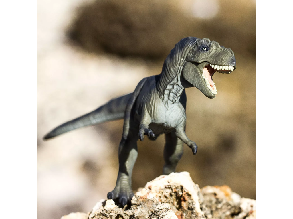 Safari Ltd. Safari Ltd. Figurka - Tyrannosaurus Rex - Obrázek 2