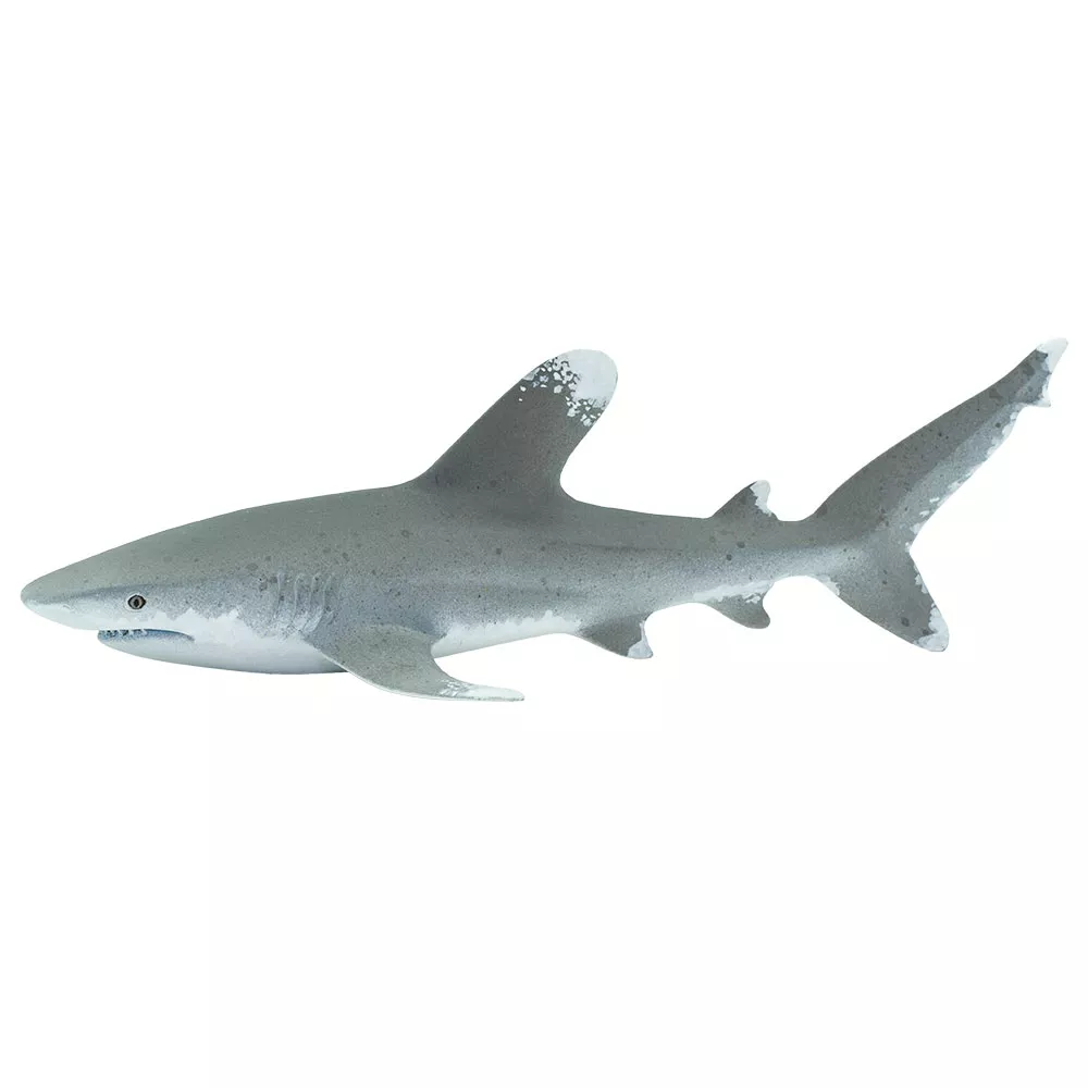 Safari Ltd. Safari Ltd. Figurka - Žralok dlouhoploutvý