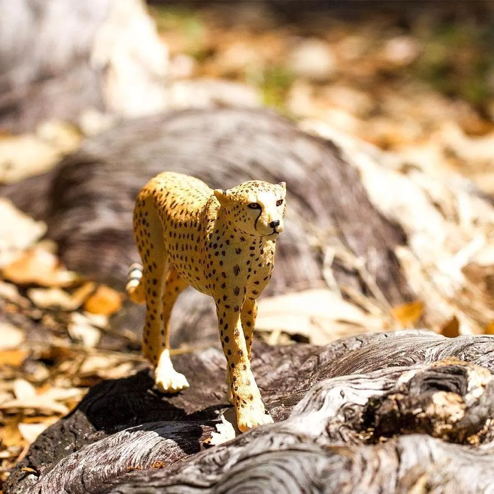 Safari Ltd. Safari Ltd. Gepard - Obrázek 2