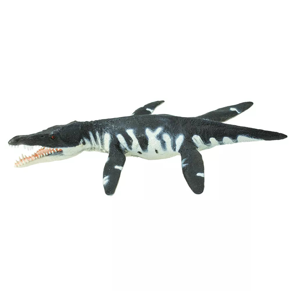 Safari Ltd. Safari Ltd. Liopleurodon - Obrázek 2