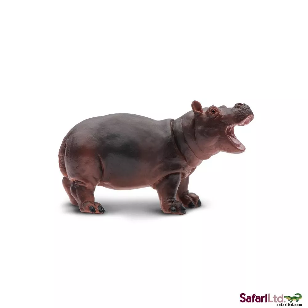 Safari Ltd. Safari Ltd. Mládě hrocha