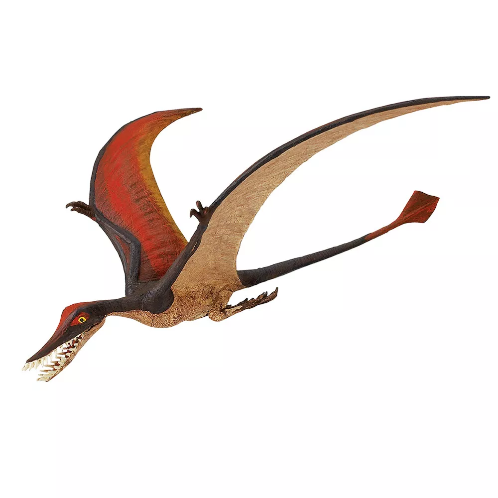 Safari Ltd. Safari Ltd. Ramphorhynchus - Obrázek 2